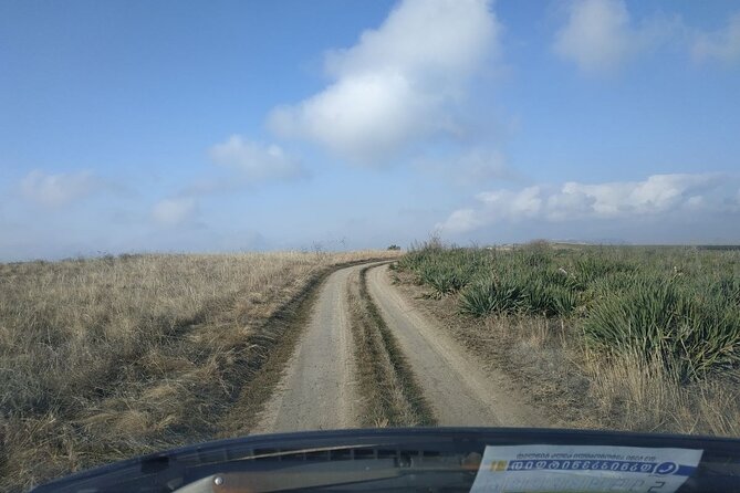 Vashlovani National Park Day Trip from Tbilisi - The 8:00 am departure and private drive