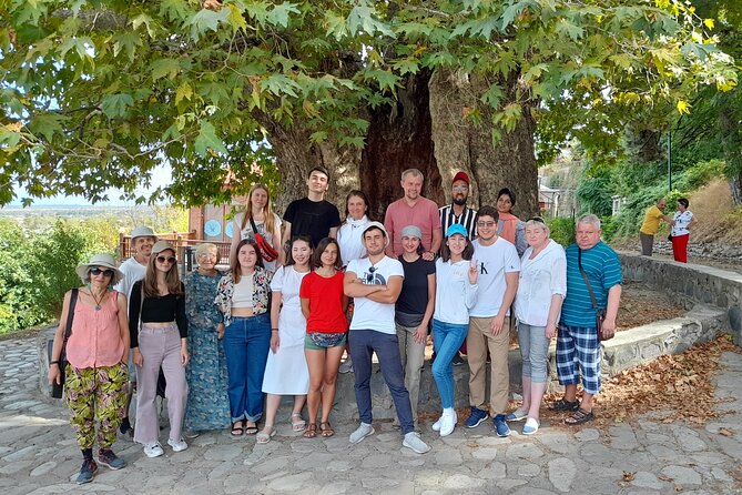 Whole day Wine Tour to Kakheti from Tbilisi - Gombori Pass at 1,620 meters