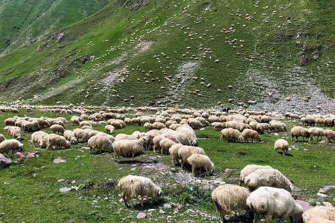 Wild Georgia 4WD PACK Adventure through Kakheti and Kazbegi 2in1 - Stepantsminda and Gergeti Trinity Church