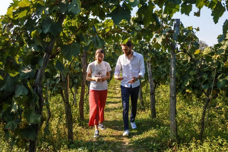 Wine & Dine group tour from Kutaisi - Why this short trip feels more personal