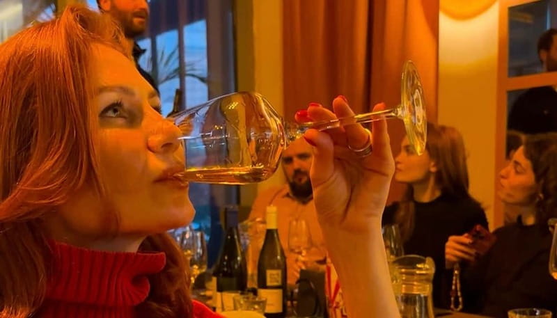 Wine Tasting feel the Difference of Qvevri or Classical Wine - Is $25 Good Value in Tbilisi?