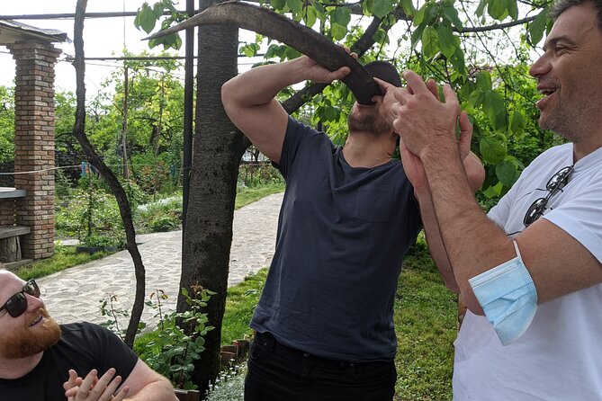 Wine Tasting Tour in Georgia's Cradle of Wine - Why Kakheti Makes This a Strong Wine Trip
